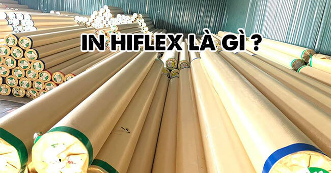 Hình ảnh cây bạt Hiflex.